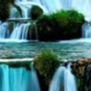 Meet your Posher, Salman